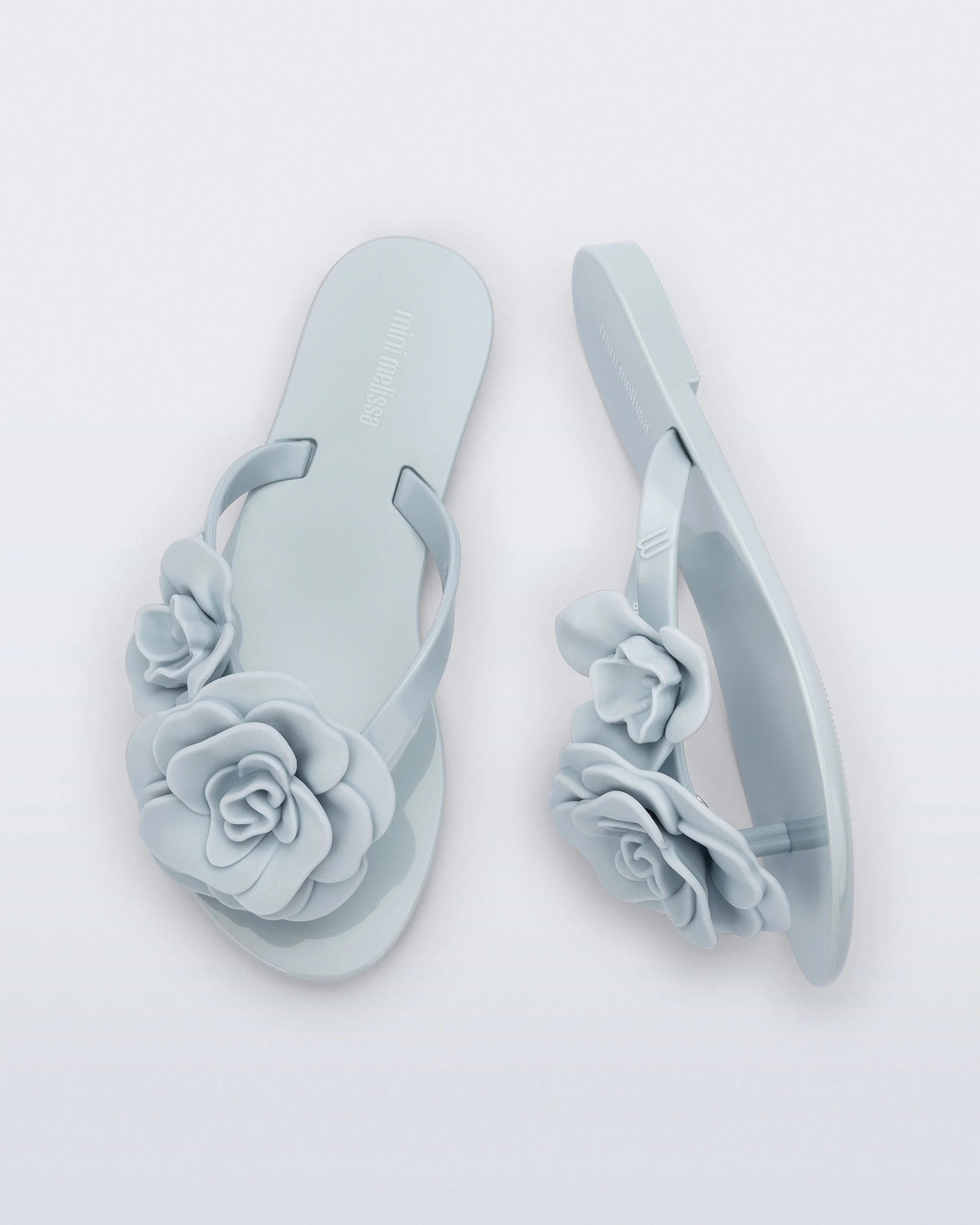 Harmonic Petals